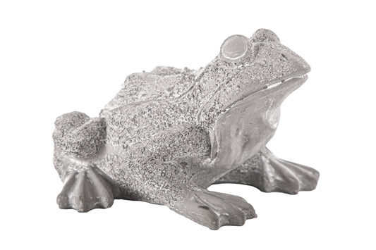 4" Cement Northern Rainfrog Figurine Washed Concrete Finish