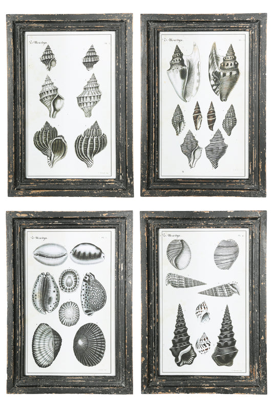 Wood Rectangle Wall Art Shells Design Assortment of Four Painted Finish Gray