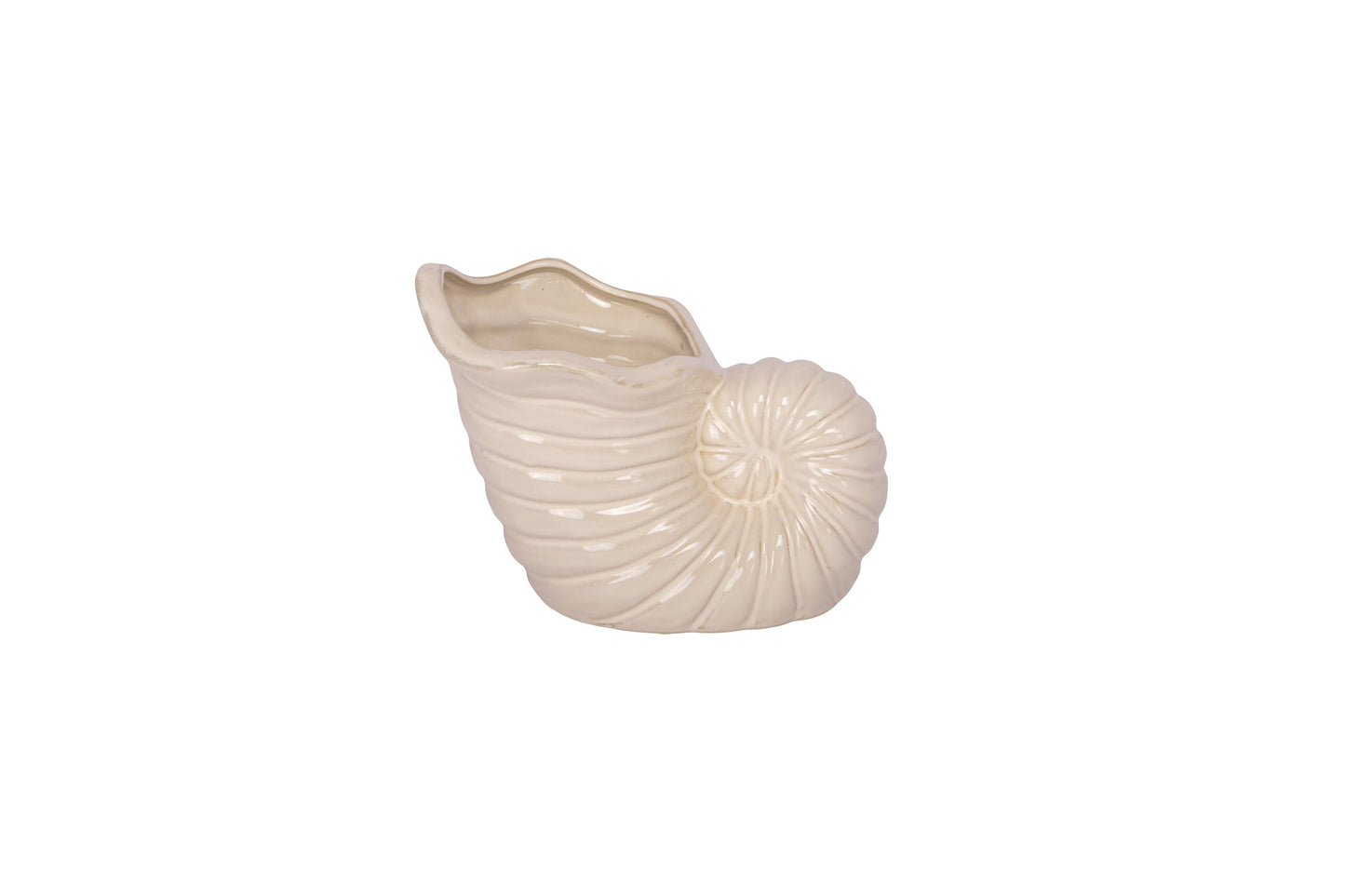 Ceramic Shell Vase - 7.00"H