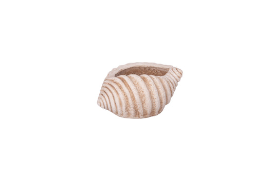 Polyresin Seashell Planter Matte White-6.50"H