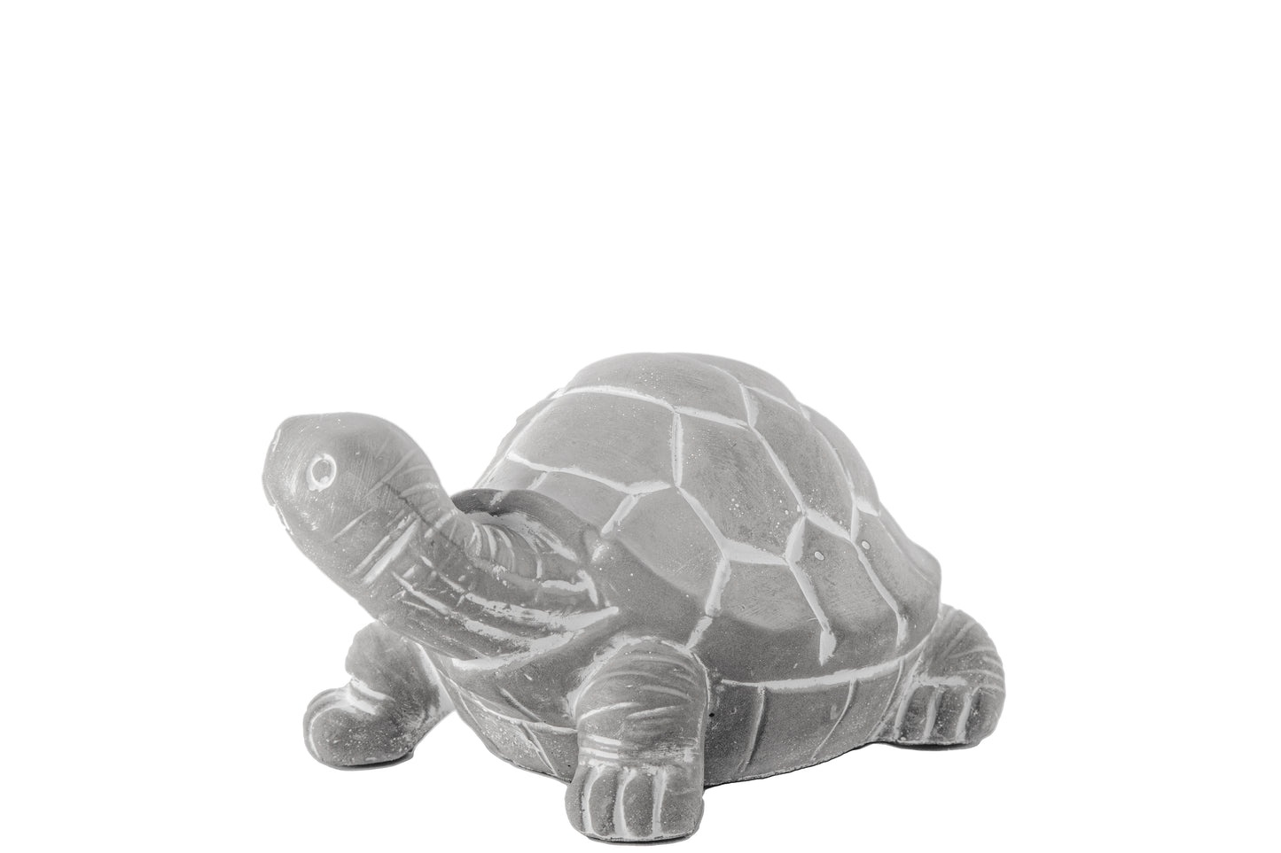 Cement Standing Turtle Figurine Washed Concrete Finish Gray-4.00"H