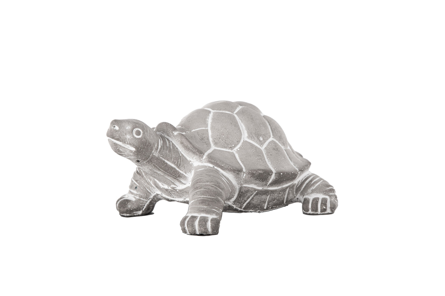 Cement Standing Turtle Figurine Washed Concrete Finish Gray-4.00"H