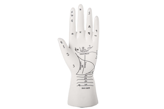 Ceramic Palmistry Hand Decor Matte Finish White-8.25"H