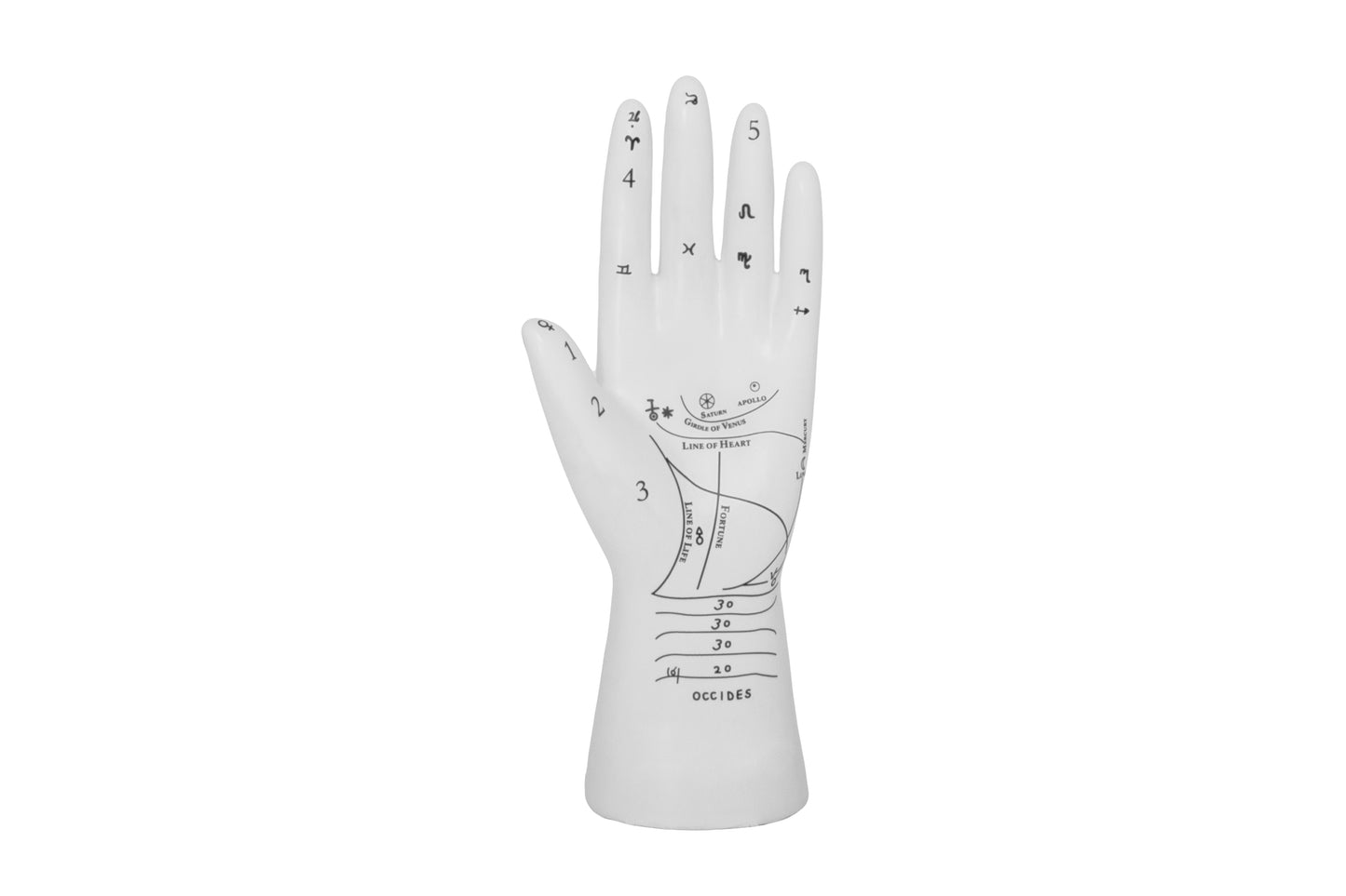 Ceramic Palmistry Hand Decor Matte Finish White-8.25"H