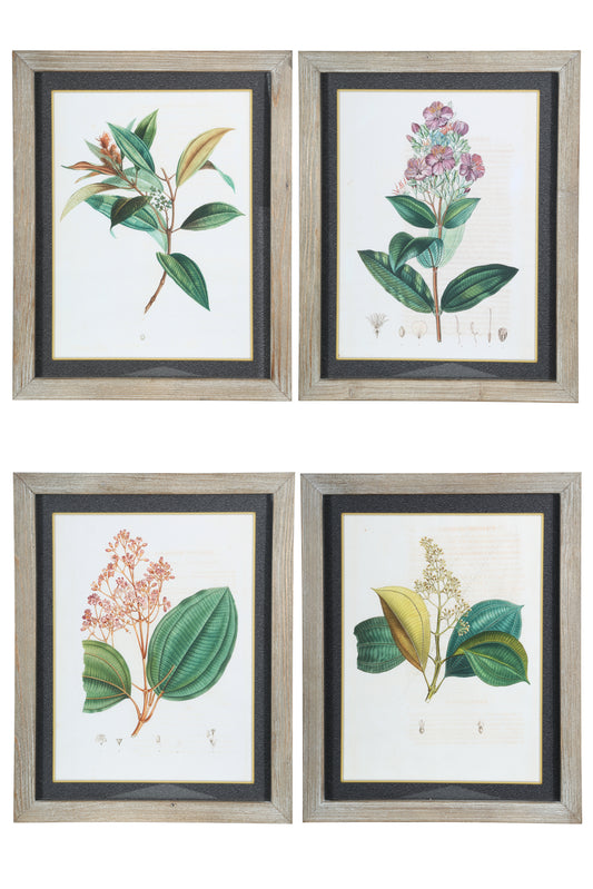 Wood Rectangle Wall Art on Frame with Glass with Botanical Plant Theme Assortment of Four Painted Finish Beige